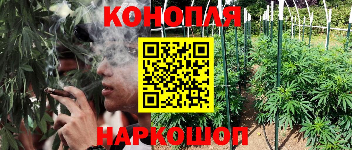 Бошки марихуана индика  Канабис LSD WEED  Вход с VPN  МАРИХУАНА ГИДРОПОН  Артём 